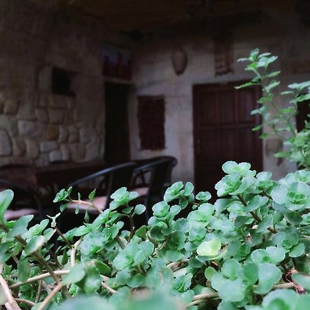 Naturels Cave House Ürgüp Luaran gambar